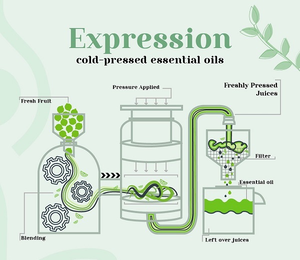 Cách chiết xuất tinh dầu nhanh chóng