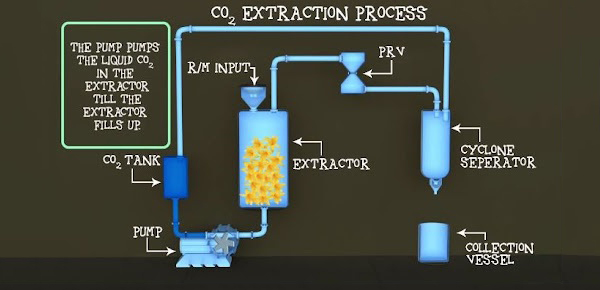 Cách chiết xuất tinh dầu bằng CO2