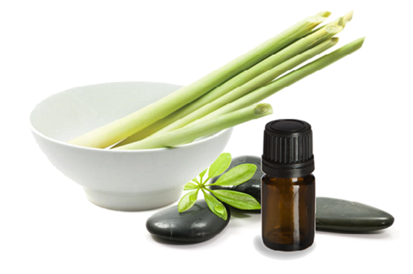 Tinh dầu sả chanh là một trong các loại tinh dầu tốt cho tóc để trị gàu