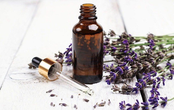Tinh dầu hoa oải hương có khả năng thúc đẩy tốc độ phát triển của tóc