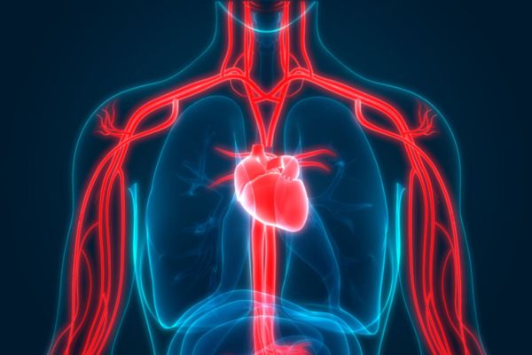 Tinh dầu bưởi nổi bật với khả năng hỗ trợ lưu thông máu và điều trị đau đầu hiệu quả