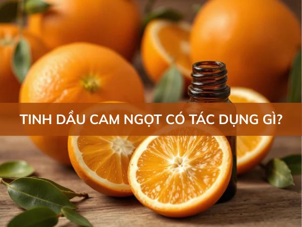 Tìm hiểu tinh dầu cam ngọt có tác dụng gì