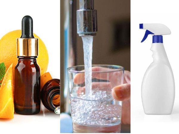 Nguyên liệu cần chuẩn bị khi dùng tinh dầu cam ngọt khử mùi không gian sống