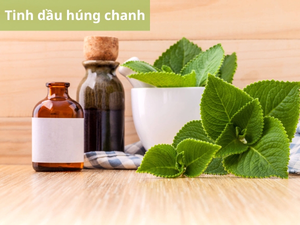 Tinh dầu húng chanh thường dùng cho trẻ uống giúp tăng cường sức đề kháng