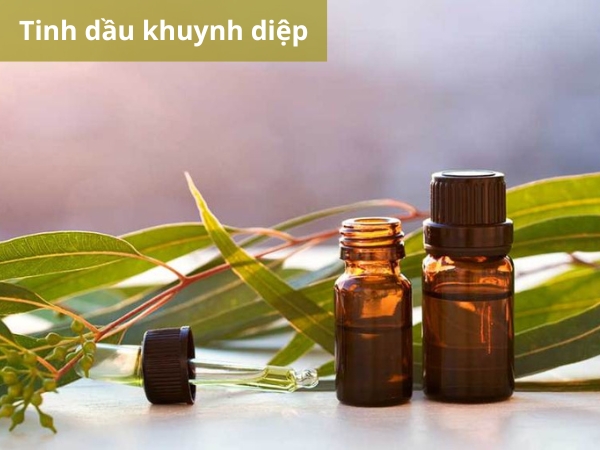Tinh dầu húng chanh thường dùng cho trẻ uống giúp tăng cường sức đề kháng