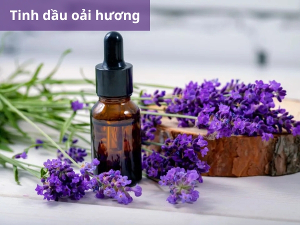 Tinh dầu oải hương có tác dụng giúp bé thư giãn, làm dịu vết muỗi đốt