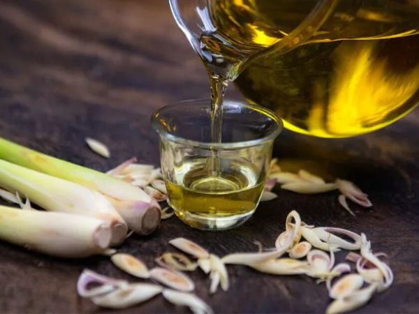 Tinh dầu sả mang nhiều lợi ích vượt trội