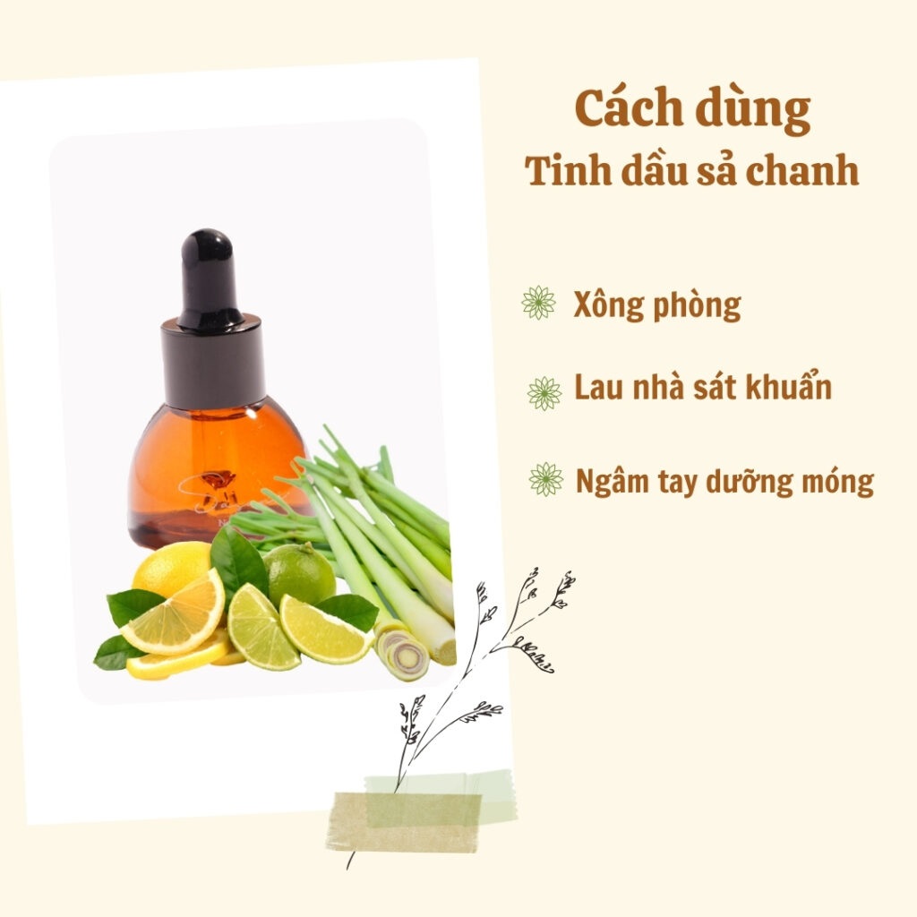 Cách sử dụng tinh dầu nguyên chất sả chanh