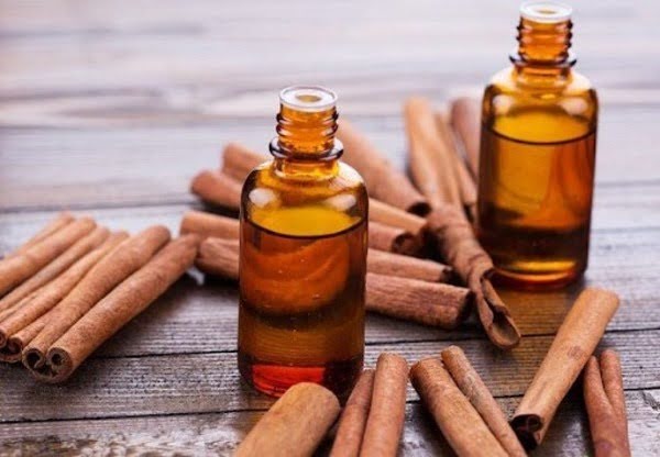 Tinh dầu quế với đặc tính ấm nóng giúp làm ấm cơ thể, cải thiện giấc ngủ