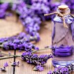 Tinh dầu oải hương lavender với mùi hương ngọt nhẹ mang lại giấc ngủ ngon