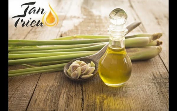Tinh dầu sả chanh thơm mát rất được lòng người sử dụng