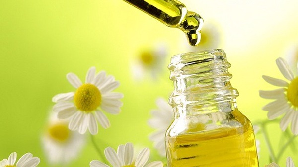 Tinh dầu hoa cúc giúp cải thiện giấc ngủ, dễ vào giấc hơn