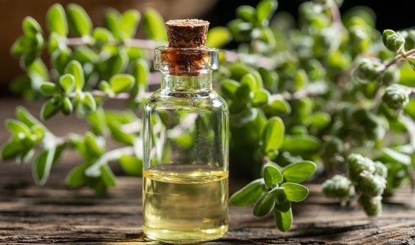 Tinh dầu kinh giới ngọt có tác dụng làm ấm cơ thể, giảm khó chịu hiệu quả