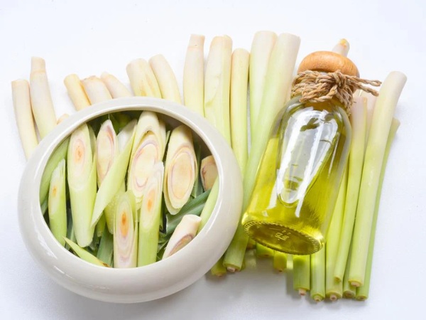 tinh dầu sả đuổi muỗi