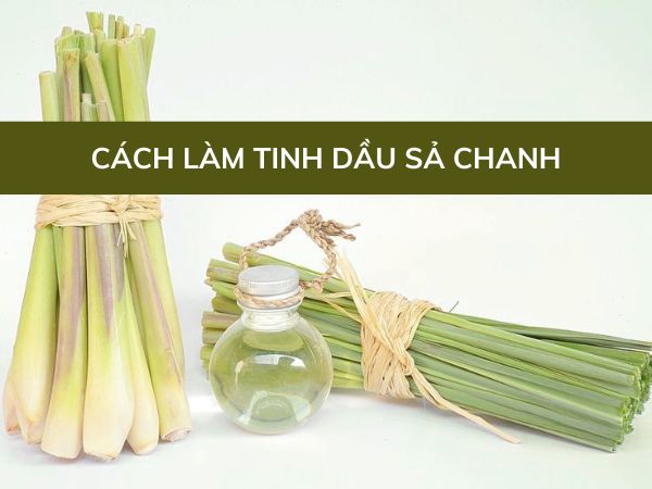 Cách làm tinh dầu sả chanh đơn giản tại nhà