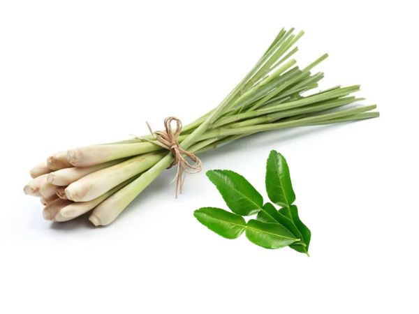 Cách làm tinh dầu sả cùng lá chanh