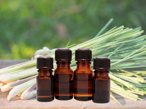 Tinh dầu sả cần được bảo quản trong chai thủy tinh tối màu