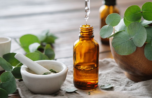 Tinh dầu khuynh diệp có tác dụng gì?
