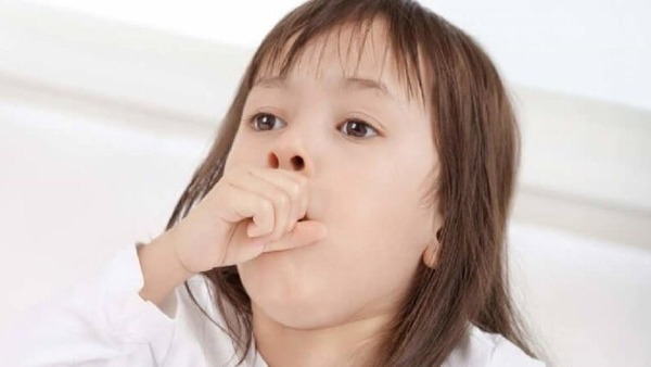 Tinh dầu khuynh diệp giúp giảm ho, long đờm cho trẻ