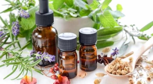 Tìm hiểu về dầu tràm có đuổi muỗi không