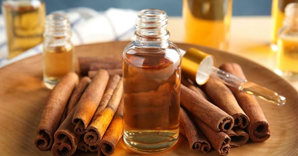 tinh dầu quế có tác dụng gì