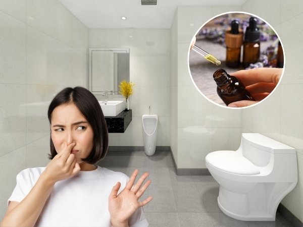 Tinh dầu thơm nhà vệ sinh rất hiệu quả trong việc khử mùi hôi