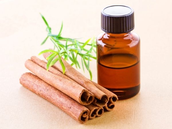 Tinh dầu quế mang hương thơm của gỗ và rừng cây
