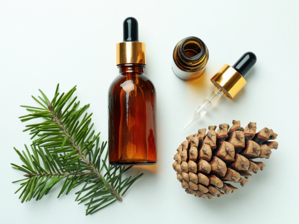 Tinh dầu thông đỏ chứa nhiều hoạt chất quý giá