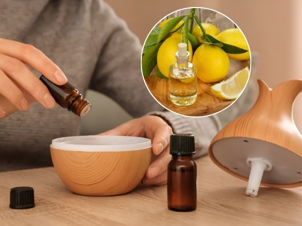 Sử dụng tinh dầu thiên nhiên với máy khuếch tán
