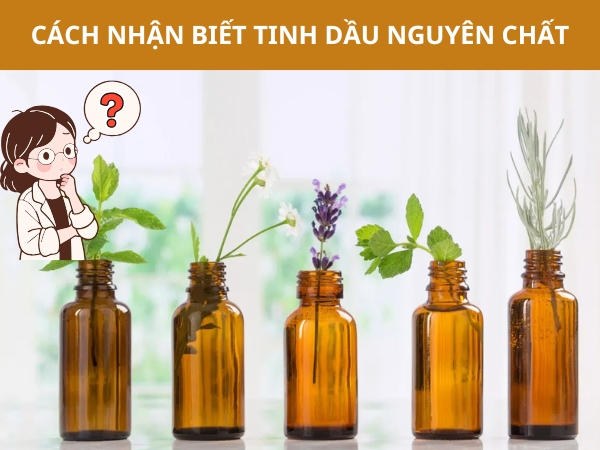 Cách phân biệt tinh dầu nguyên chất để tránh mua phải tinh dầu giả