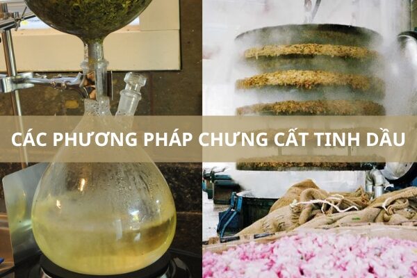 Hướng dẫn các phương pháp chưng cất tinh dầu