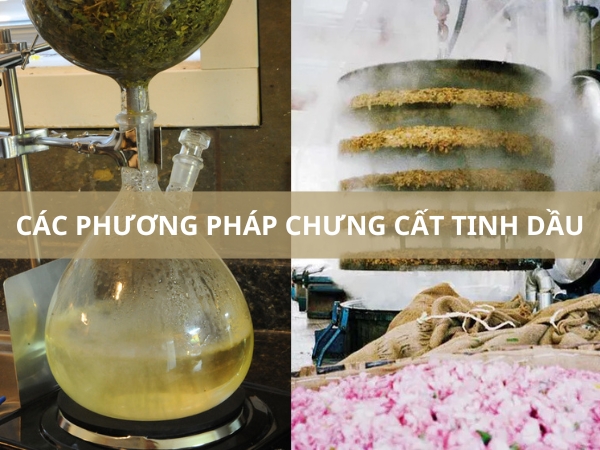 Hướng dẫn các phương pháp chưng cất tinh dầu