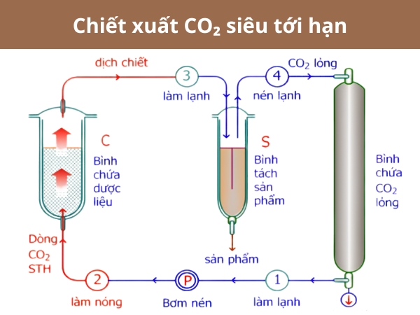 Sơ đồ bộ chiết xuất CO₂ siêu tới hạn