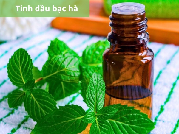 Tinh dầu bạc hà có hương thơm the mát, mang lại cảm giác thông thoáng