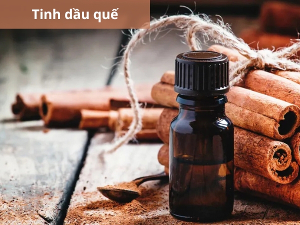 Tinh dầu quế có mùi hương ấm, nồng và khả năng át mùi hôi khá tốt