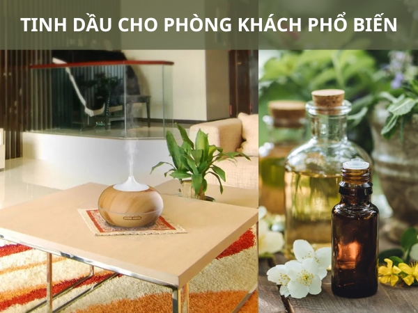 Tinh dầu cho phòng khách phổ biến giúp không gian luôn dễ chịu