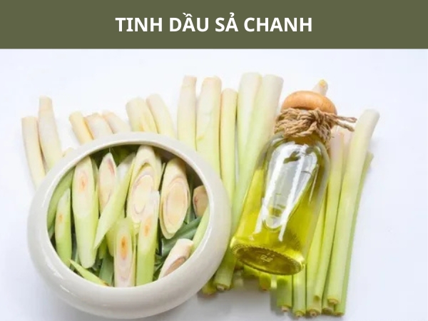 Tinh dầu sả chanh chứa citral có khả năng khử mùi, hỗ trợ kháng khuẩn