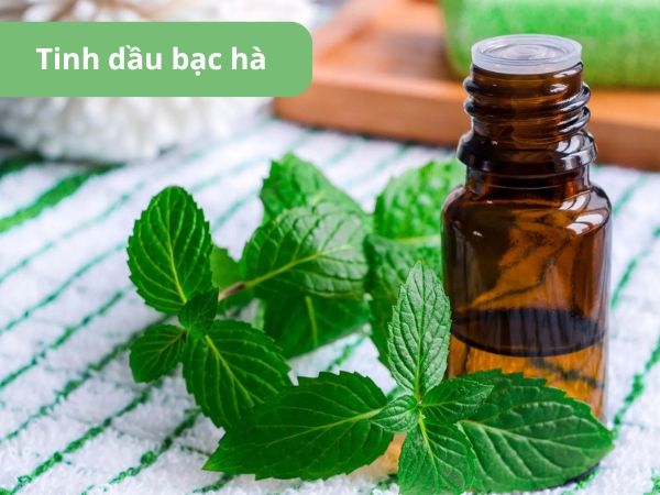 Tinh dầu bạc hà mang hương thơm mát lạnh, sảng khoái