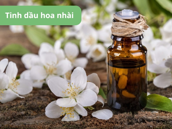 Tinh dầu hoa nhài được yêu thích nhờ hương thơm nhẹ nhàng